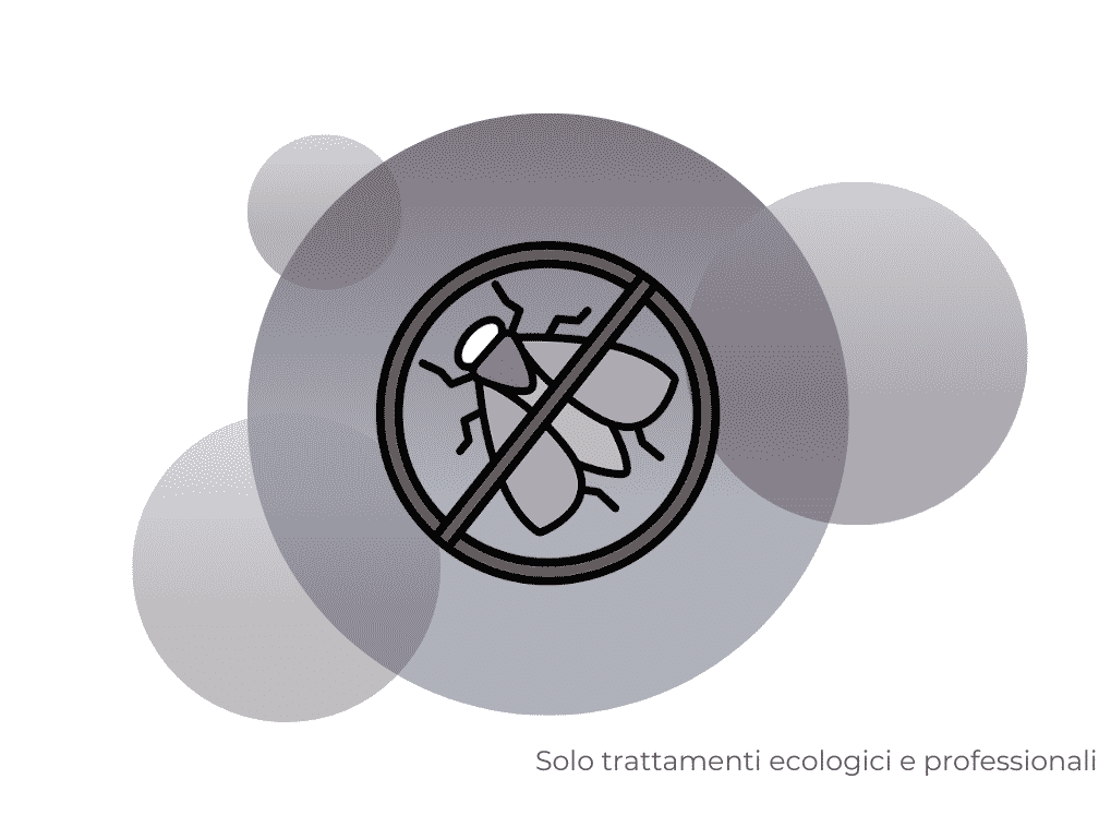 disinfestazione derattizzazione
