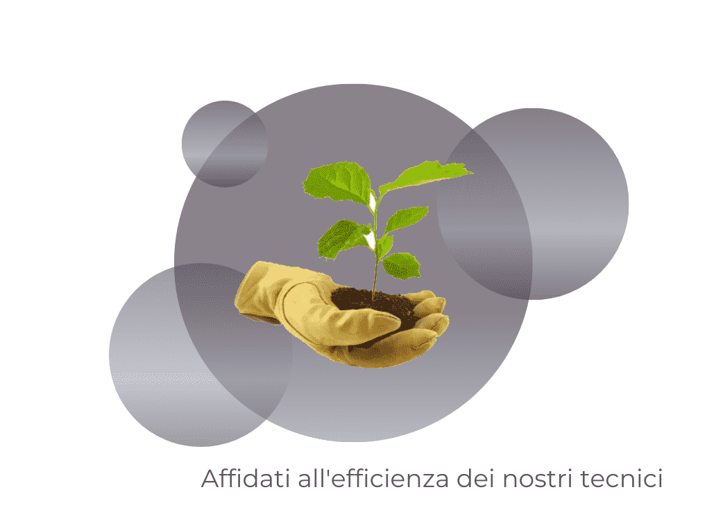 Illustrazione di una pianta con attrezzi da giardinaggio