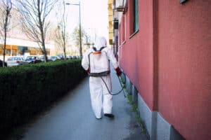 Disinfestazione tafani